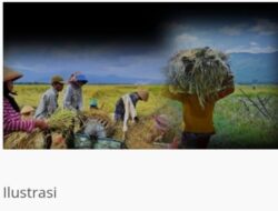 Pekerjaan Salah satu CV guna pembangunananan sarana irigasi untuk kelompok tani jaya mekar Amburadul ,APH wajib hadir