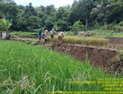 BPP KECAMATAN KALIBUNDER PANEN APRESIASI DIKENAL SERIUS DALAM MELAYANI MASYARAKAT KELOMPOK TANI