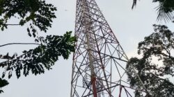 LSM LASKAR NKRI Grudug Satpol PP Kabupaten Serang, Pertanyakan Mandeknya Laporan Dugaan Tower Tak Berizin