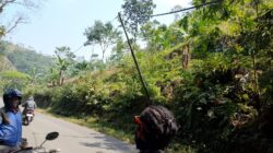 Tiang Jaringan di Jalan Kabandungan Sukabumi Miring Bahayakan Pengendara, Kabel Menjuntai Rendah
