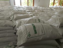 Badan Pangan Nasional Kembali Salurkan Bantuan Beras 10 Kg di Desa Walangsari Kalapanunggal