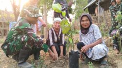 Perkuat Ketahanan Pangan, Satgas TMMD ke-130 Tanam Sayuran dan Bagikan Bibit kepada Warga