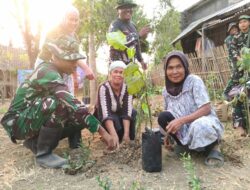 Perkuat Ketahanan Pangan, Satgas TMMD ke-130 Tanam Sayuran dan Bagikan Bibit kepada Warga