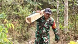 Satgas TMMD ke-130 Kodim 0622/Sukabumi Bersama Warga Gotong Royong Angkut Kayu untuk Renovasi Masjid Al Barokah