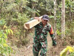 Satgas TMMD ke-130 Kodim 0622/Sukabumi Bersama Warga Gotong Royong Angkut Kayu untuk Renovasi Masjid Al Barokah